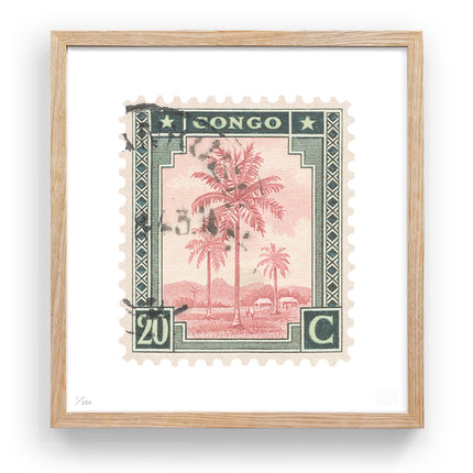 CONGO FLAT