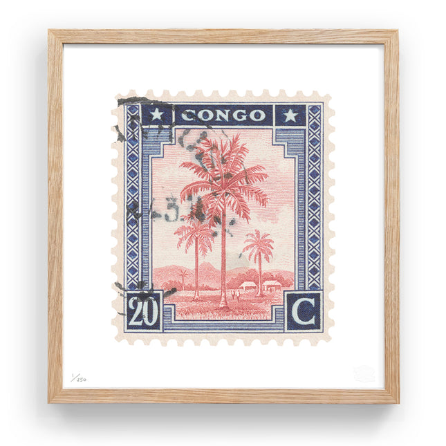 CONGO FLAT