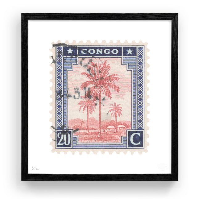 CONGO FLAT