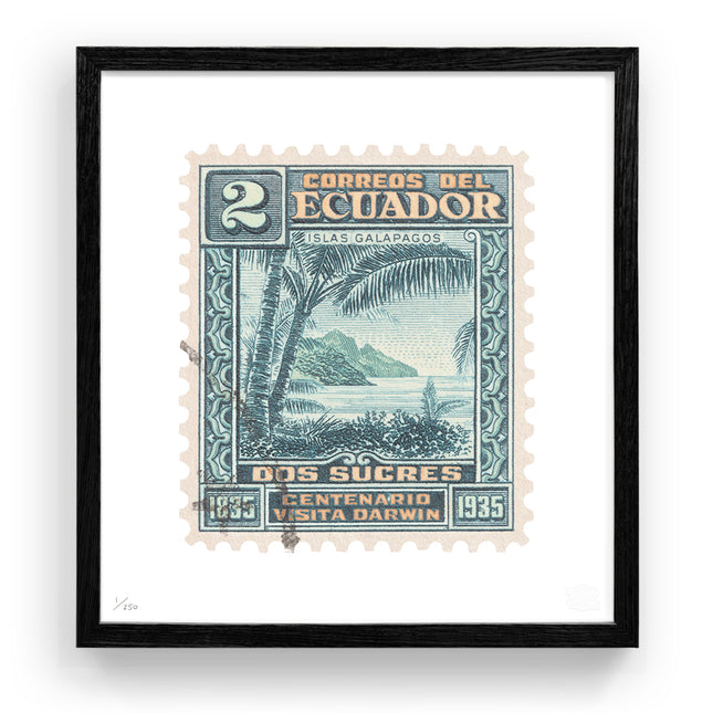 ECUADOR FLAT