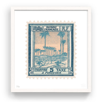 FRENCH GUIANA FLAT