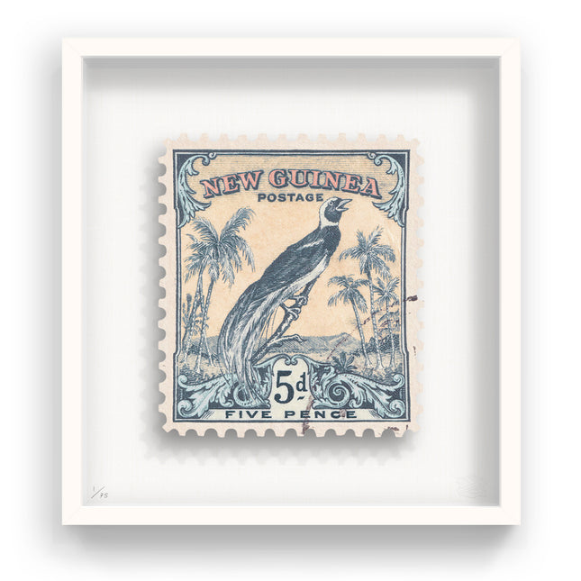 NEW GUINEA