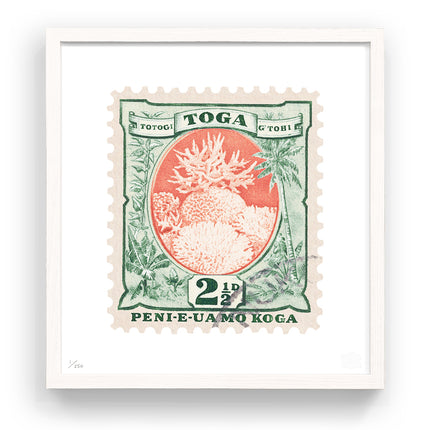 TONGA FLAT
